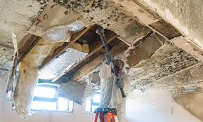 Best Real Estate Mold Inspection  in Carlisle Rockledge, AL